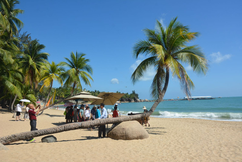海南热带风情，无限商机等你来探索