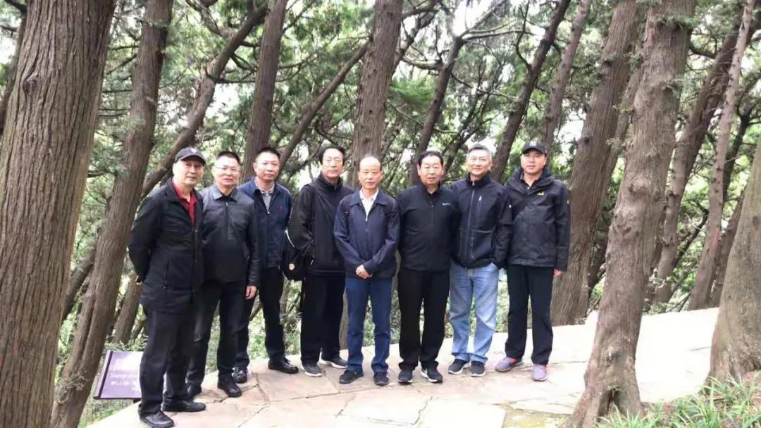 宁夏，任务完成与技能学习详细指南（初学者与进阶用户适用）