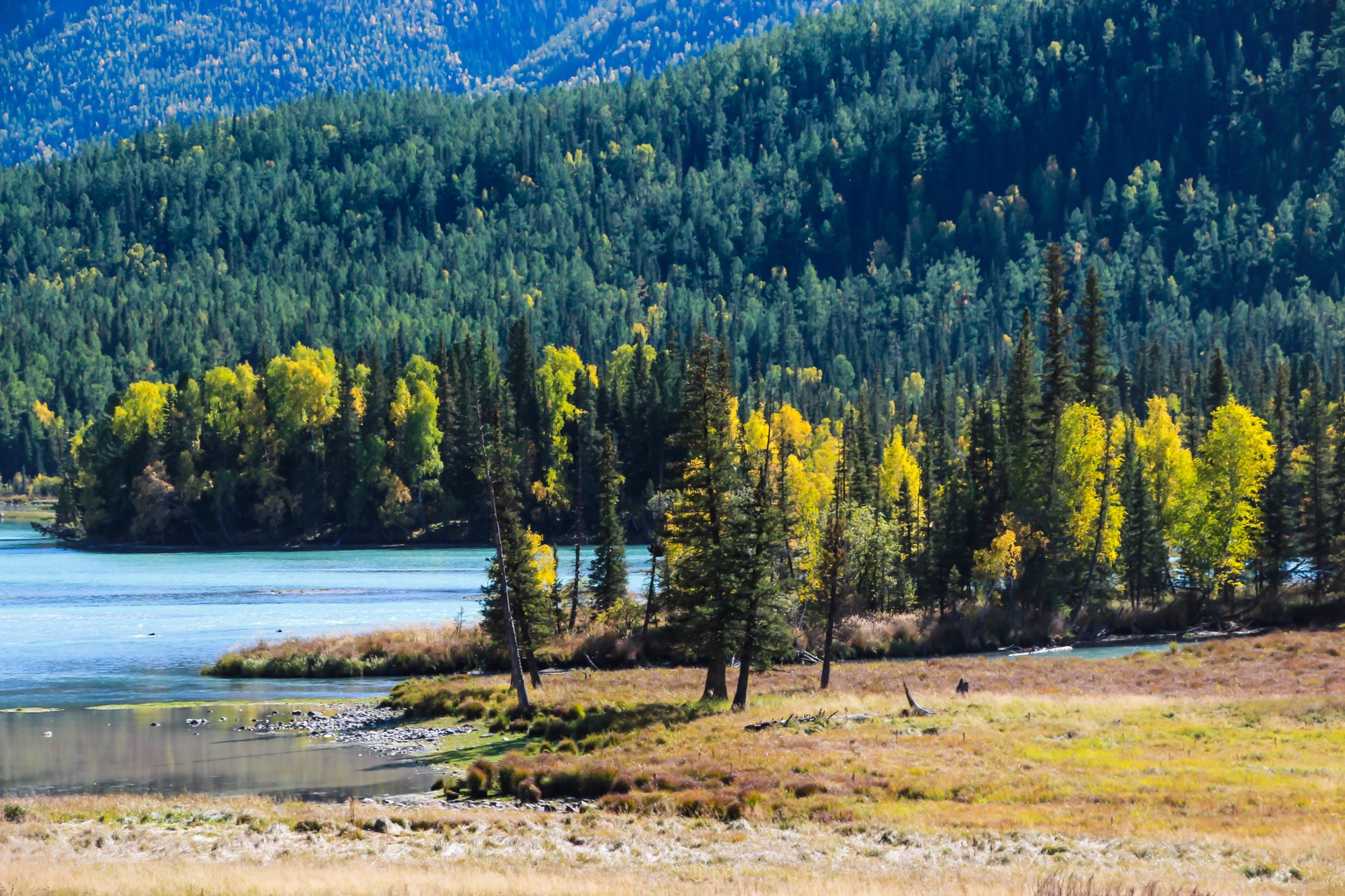 新疆,多元文化交融的璀璨明珠