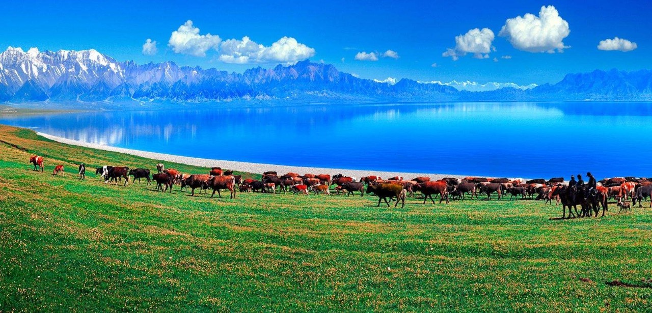 新疆,多元文化交融的璀璨明珠